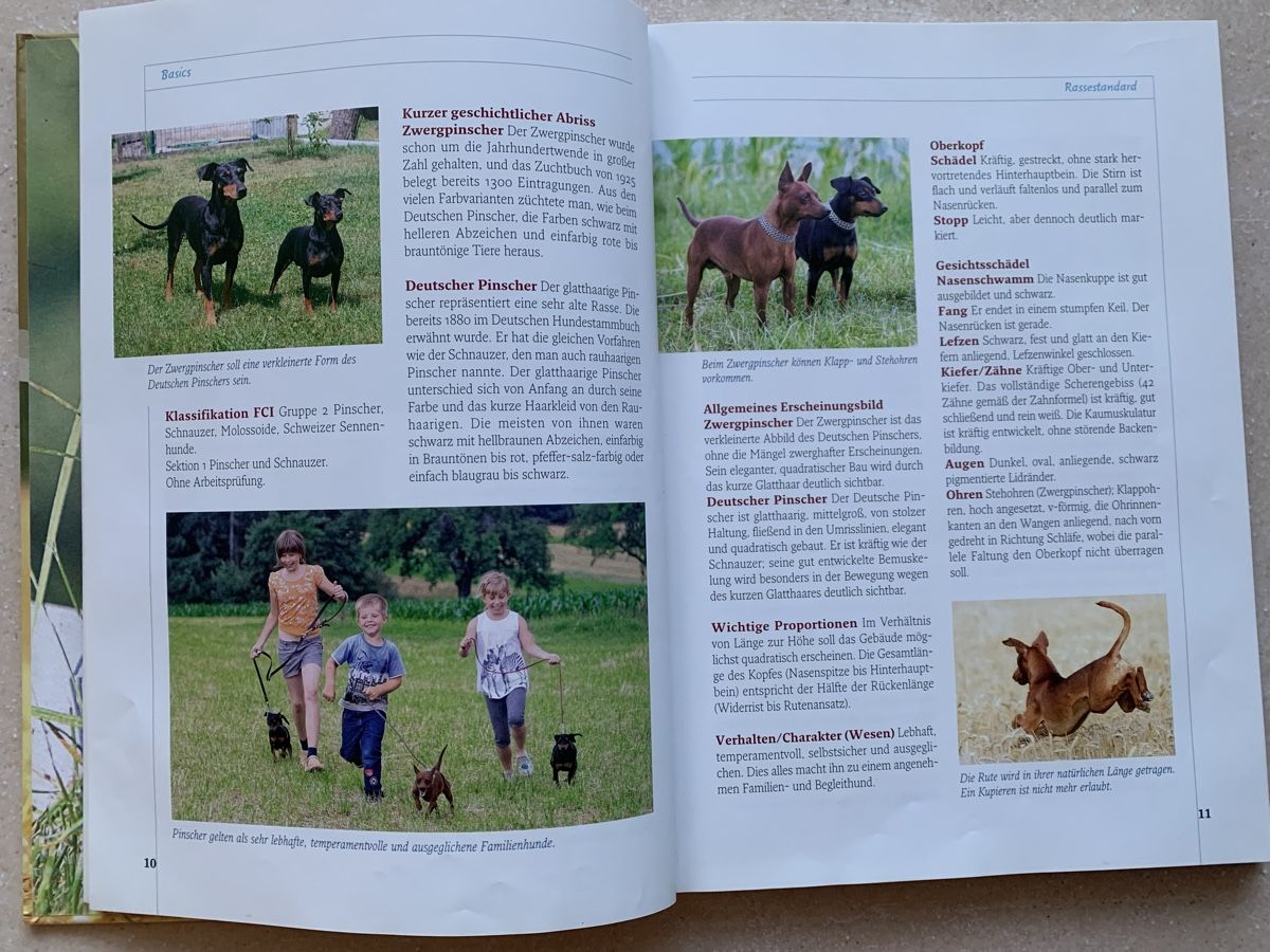 Libri: **Pinscher Hunderatgeber** – Usato da Ehrendingen venduto da Anni_89 2