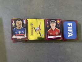 Panini 2022 WM Sticker! 