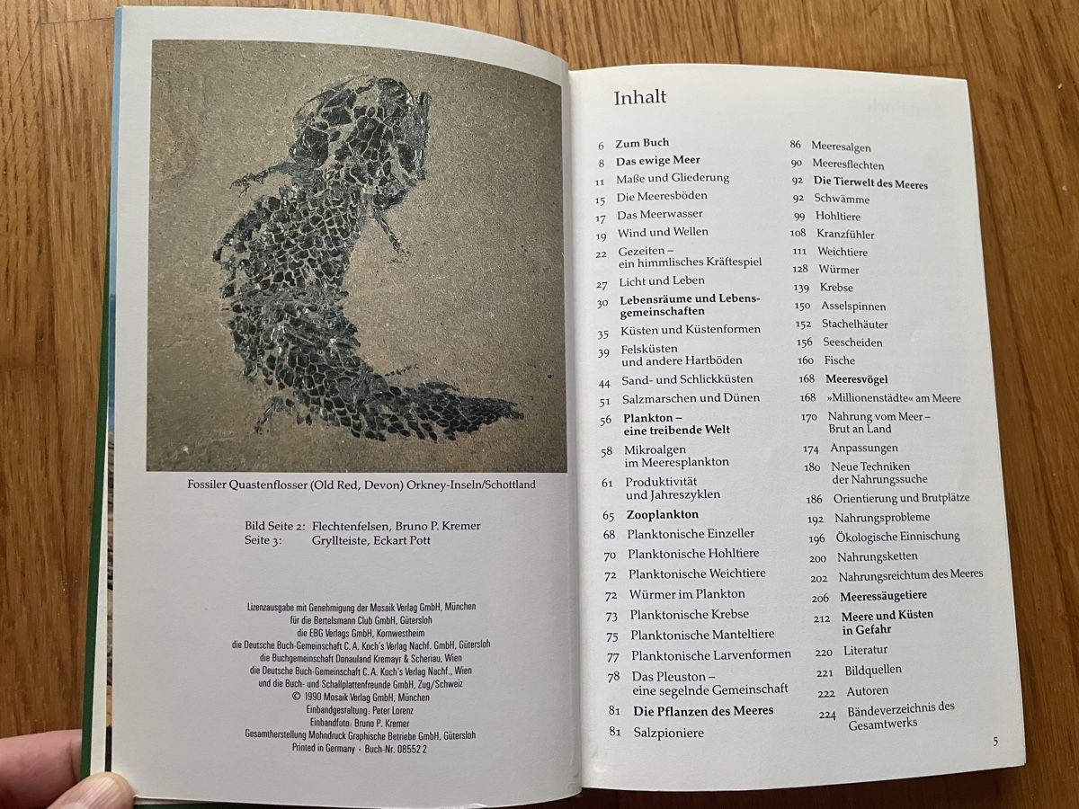Libri: BUCH Meere und Küsten – Usato da Zürich venduto da silab69 2