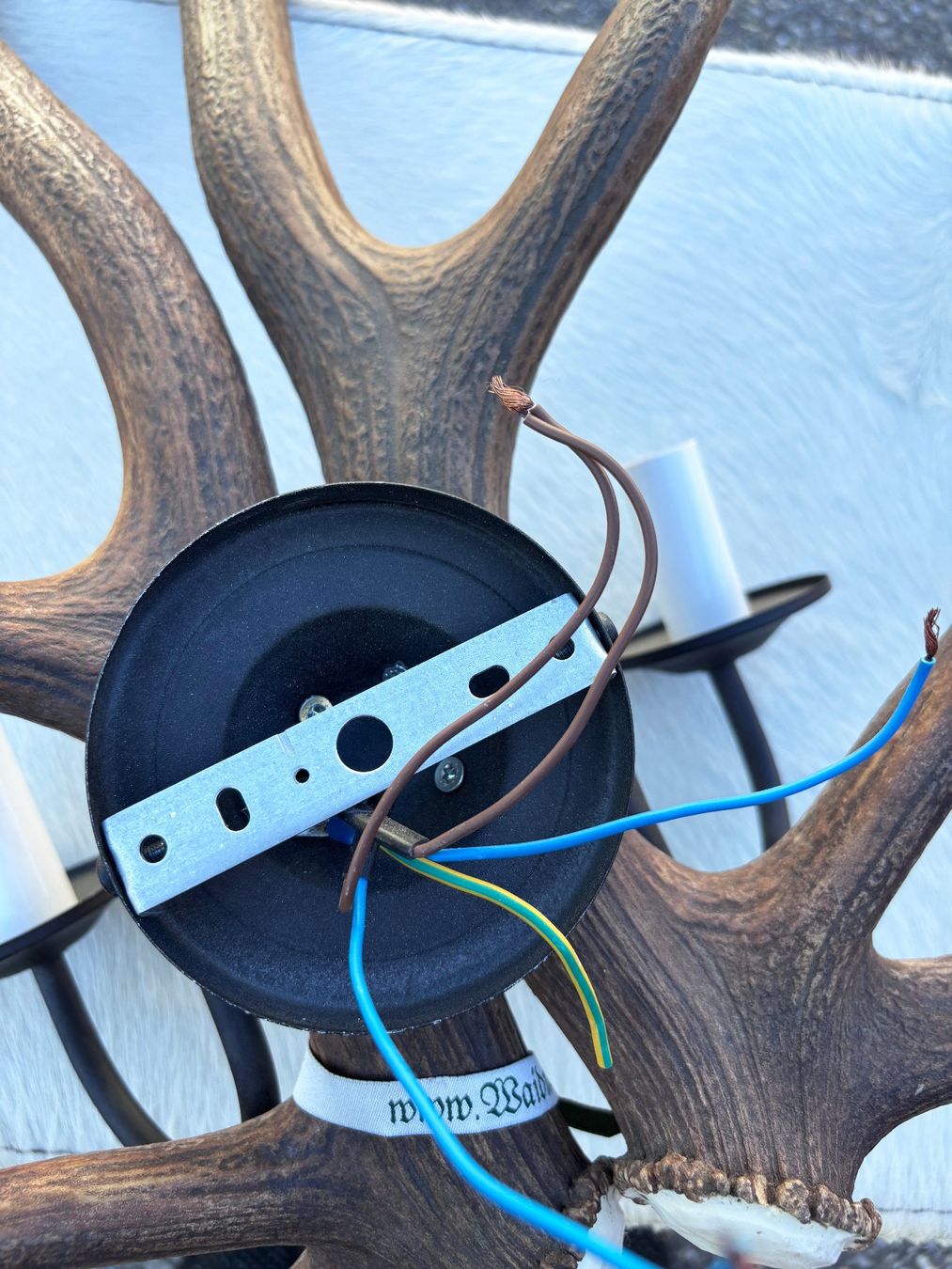 Lampade: Wandlampe aus echtem Hirschgeweih – Usato da Chur venduto da elifornico 5
