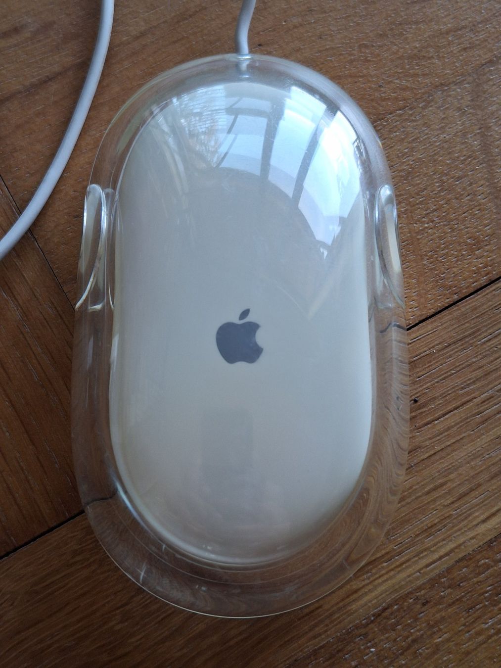 Apple Maus: Souris APPLE modèle 5769 – Gebraucht aus Chêne-Bougeries von xchrysalide 3