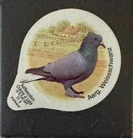 707 - Oiseaux