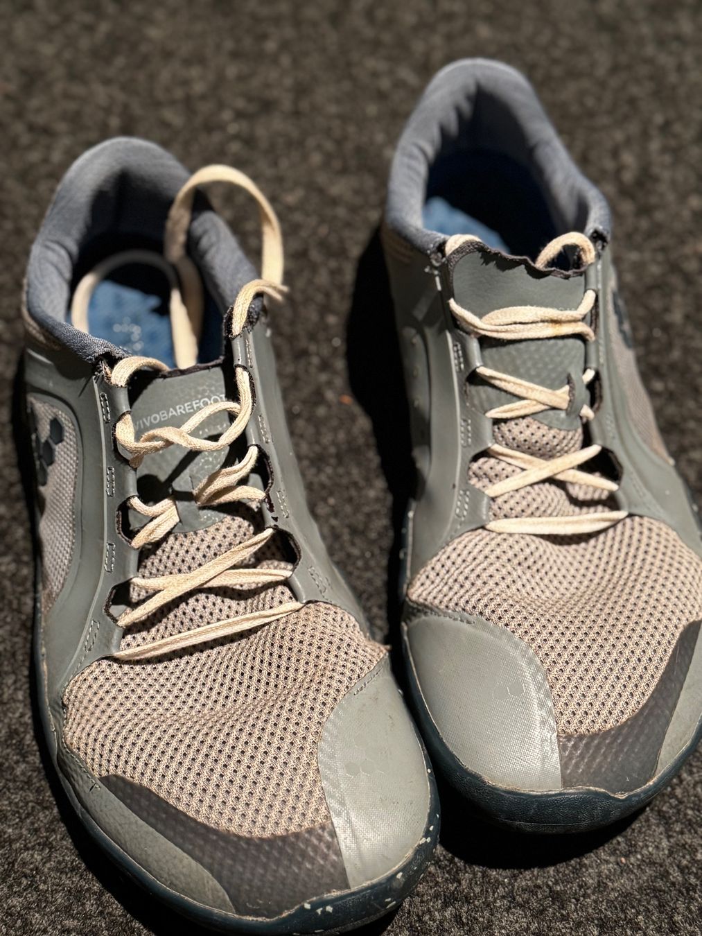 Vivobarefoot Chaussures hommes: Vivobarefoot Primus Trail – D'occasion à Oberburg par dplayzz