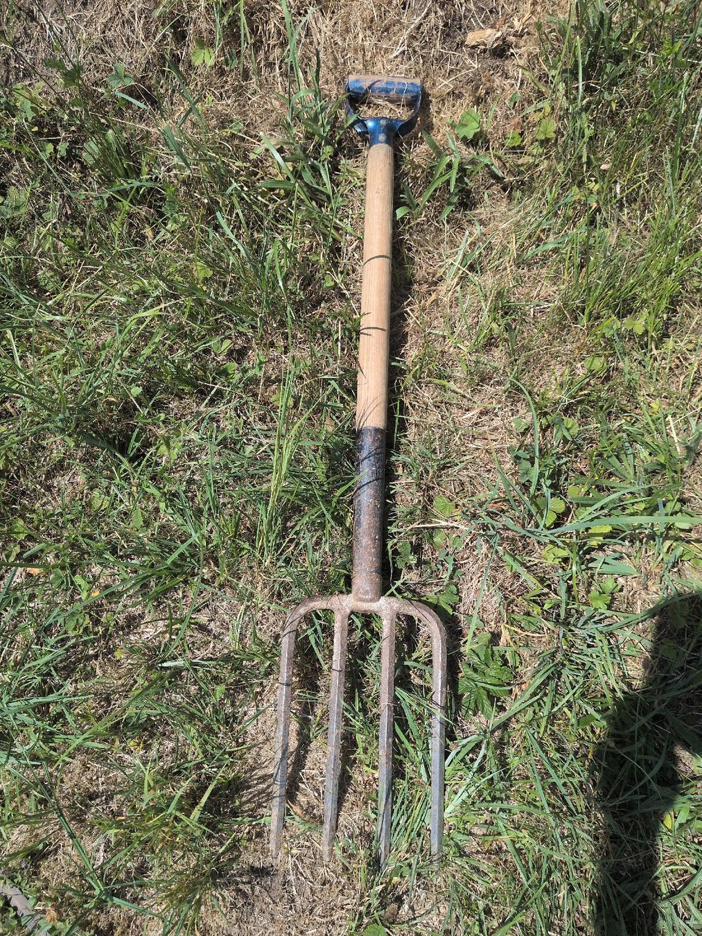 Tous les outils: Stechgabell mit Holzgriff gebraucht – D'occasion à Diessenhofen par riekekat 2