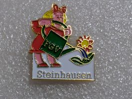 Ansteckpin 252: FGV Steinhausen
