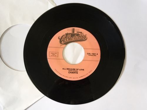 Dischi in vinile: Single Charts – Nuovo (secondo la descrizione) da Schalunen venduto da schwabspielautomaten