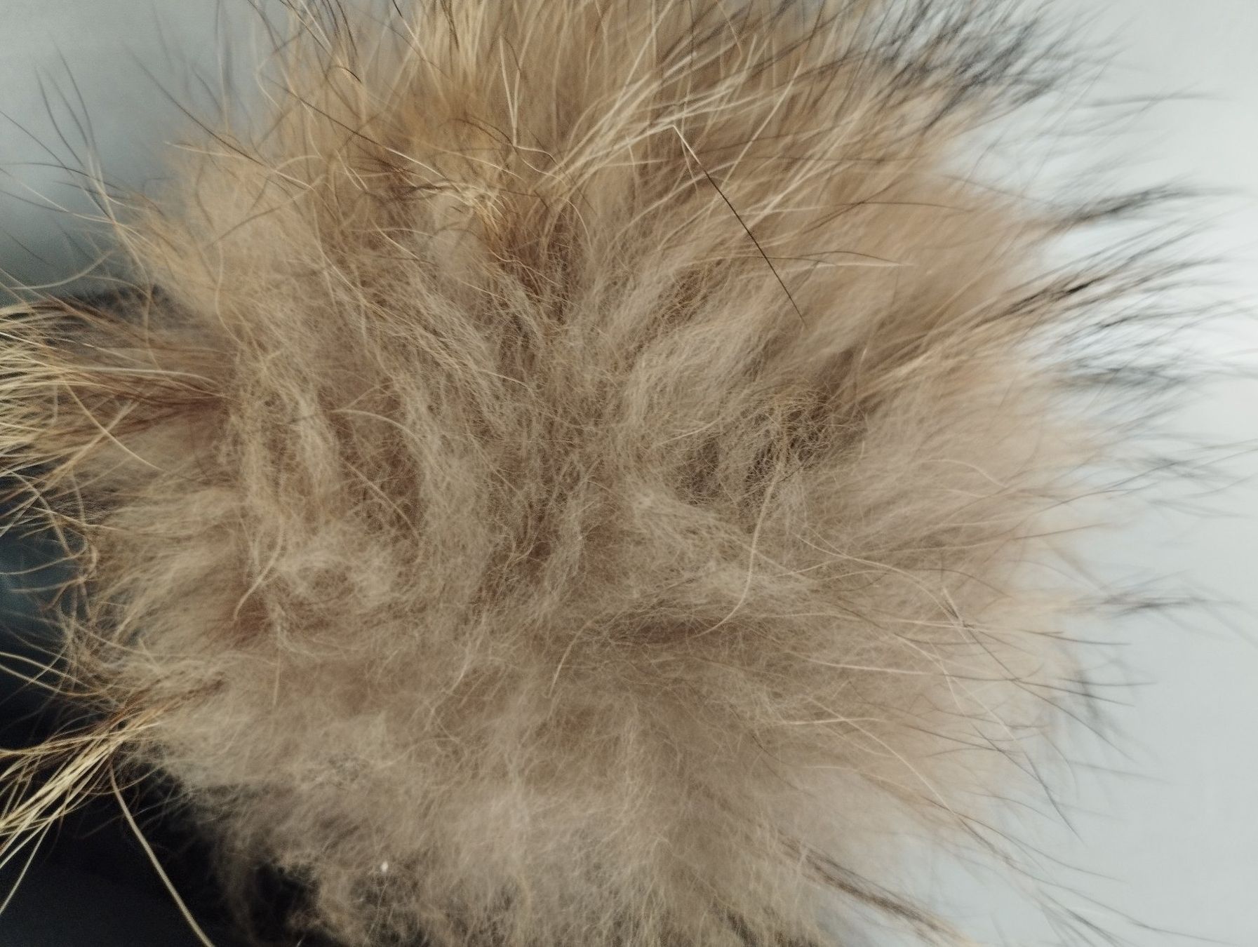 Modissa Jacken: MODISSA Winterjacke Gr. 34 – Gebraucht aus Schübelbach von Restwert_Schubelbach 9