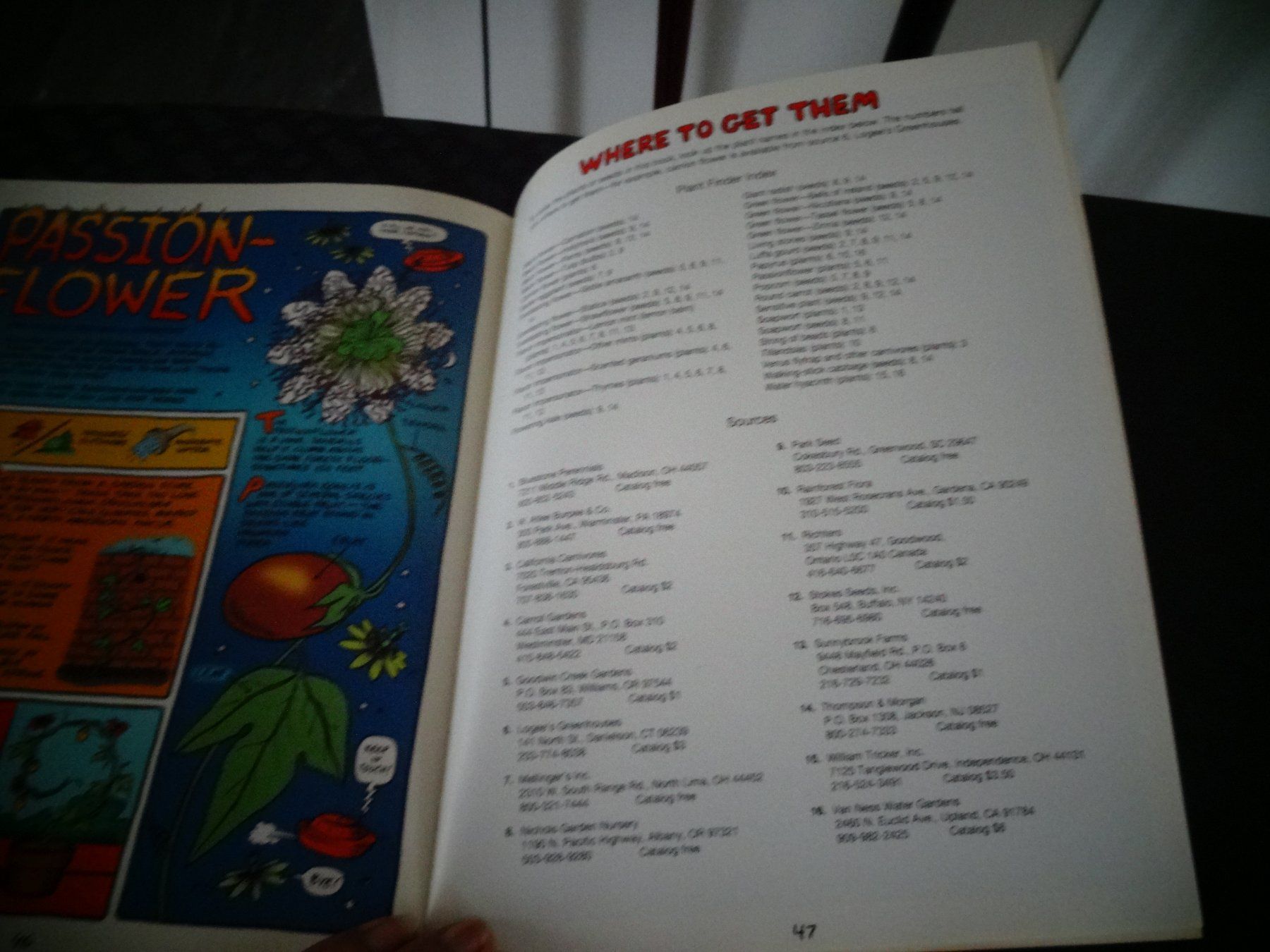 Bücher: Weird Things – Gebraucht aus Neerach von jenny062 8