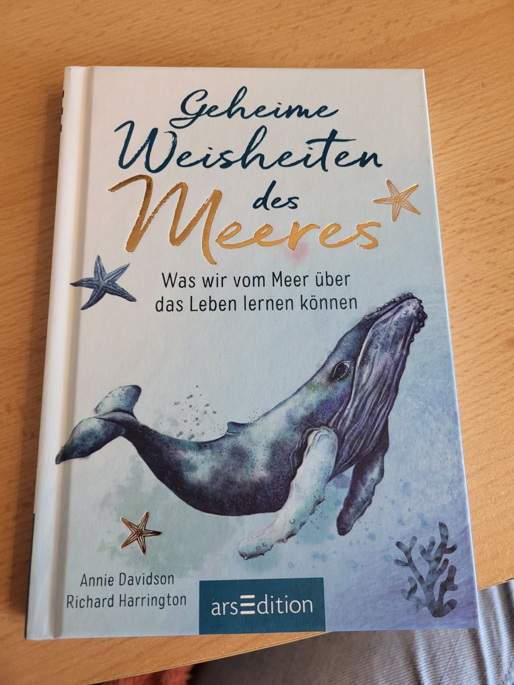 Bücher: Meeres Geschichten – Neu (gemäss Beschreibung) aus Brugg AG von pinussoap
