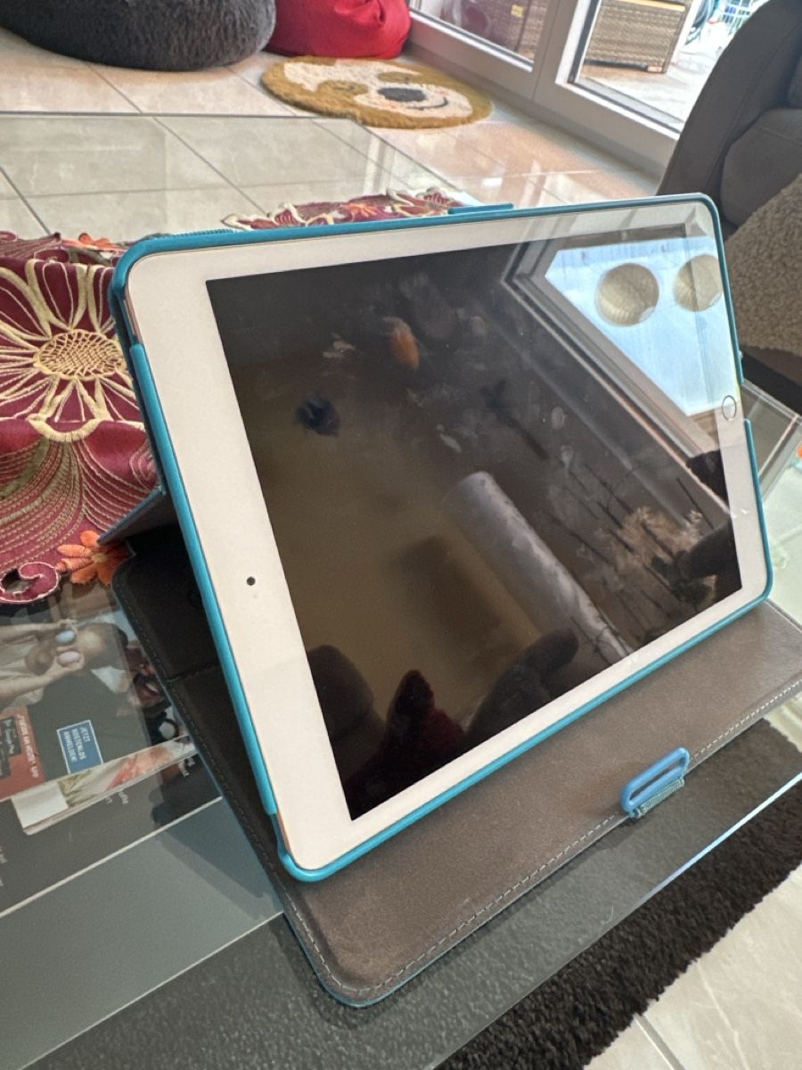 Apple Tablettes PC: IPad (7. Generation) 32 GB – D'occasion à Lupfig par asg_5tqb