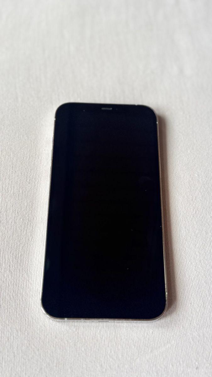 Apple Telefoni cellulari / Smartphones: iPhone 12 Pro MAX Silver, 256 GB – Usato da Schönenwerd venduto da cassi2828 2