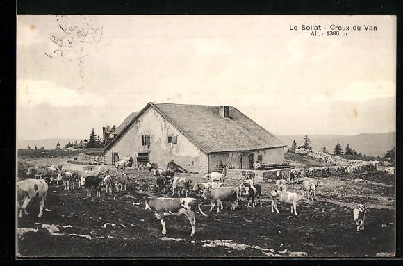 Cartoline postali: AK Creux du Van, Le Soliat, Kuhherde – Usato da Berlin venduto da bartko-reher