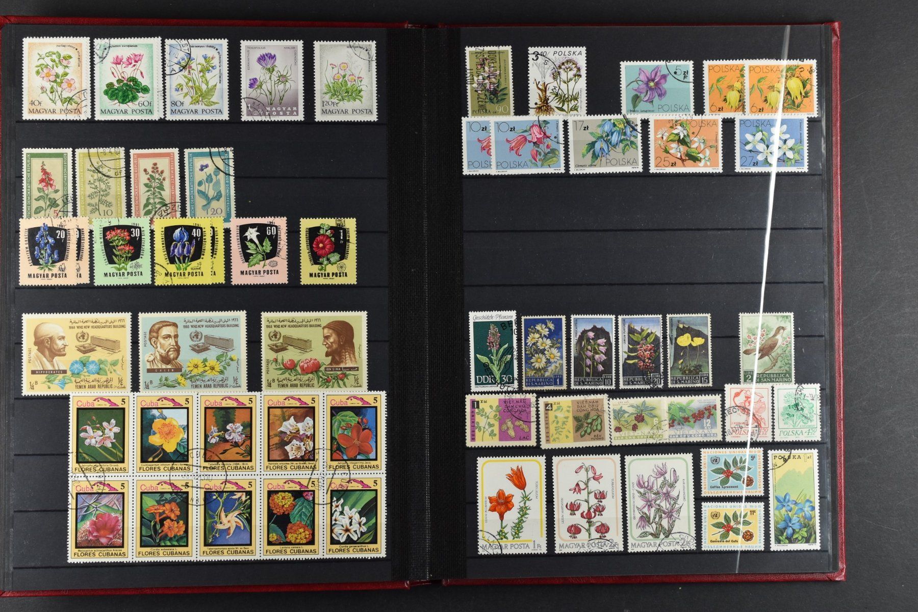 Tutti i francobolli: SAMMLUNG, BLUMEN, 2 EINSTECK-ALBEN, 900+ MARKEN – Usato da Wetzikon ZH venduto da Philimpex 5