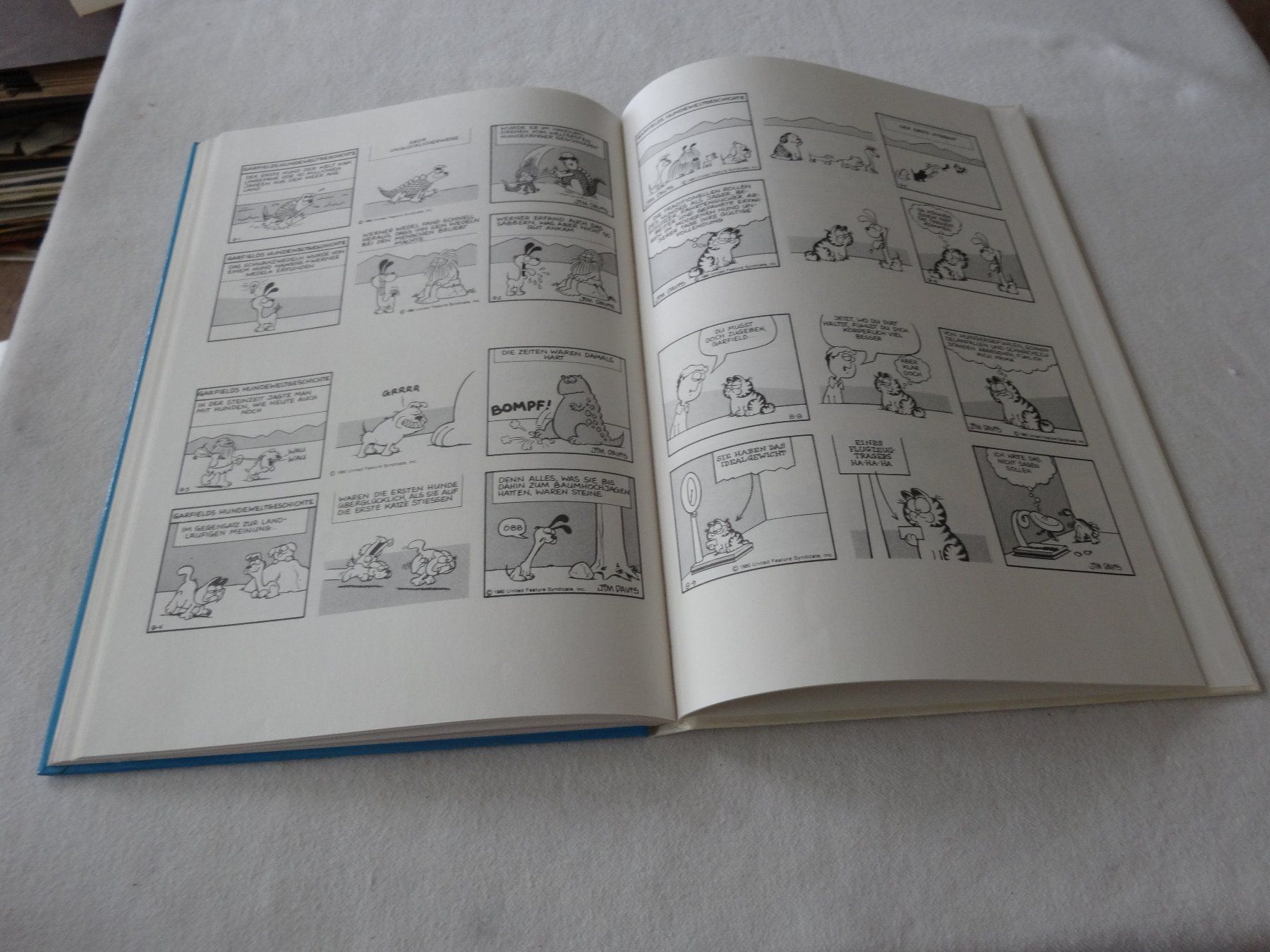 Fumetti: Die Garfild Revue – Usato da Neerach venduto da jenny062 6