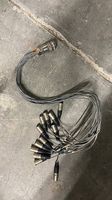Audio Multicore-Kabelpeitsche  Multipin auf XLR / 12-Kanal