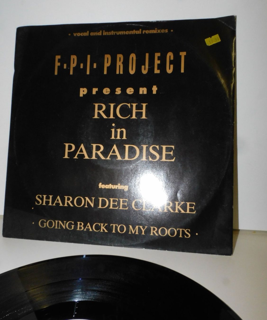 Vinyles: LP Schallplatte - F.P.I.PROJECT -  - Remix House Techno – D'occasion à Sursee par 76 5