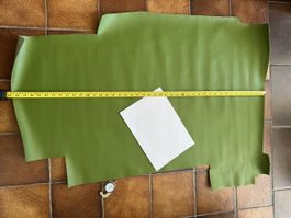 Echtes Leder grün / cuir/ Green cow Leather Hide