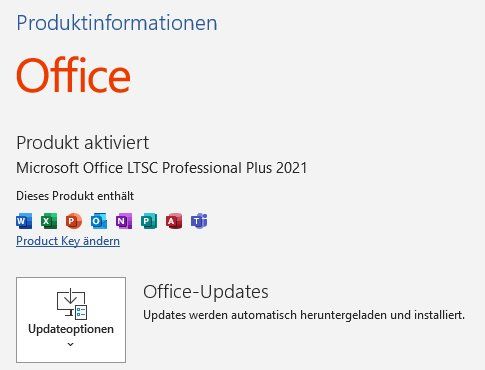 Laptop Sony Vaio + Windows 11 Pro + MS Office 2021 Pro | Kaufen auf Ricardo