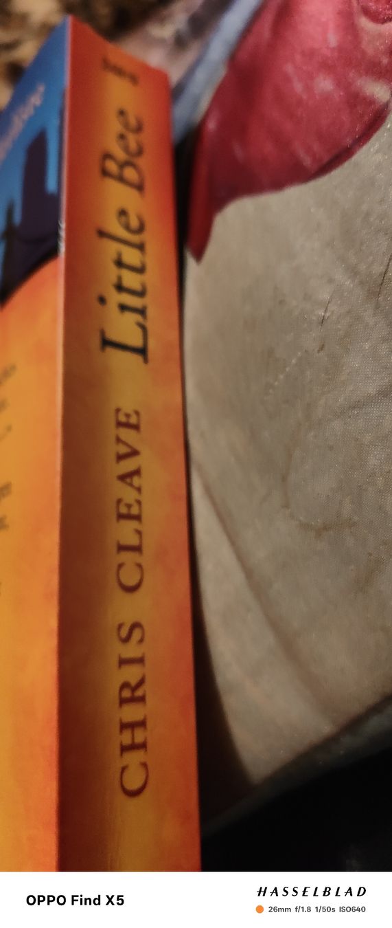 Livres: Little Bee – Neuf (Voir description) à Volken par katz5 1