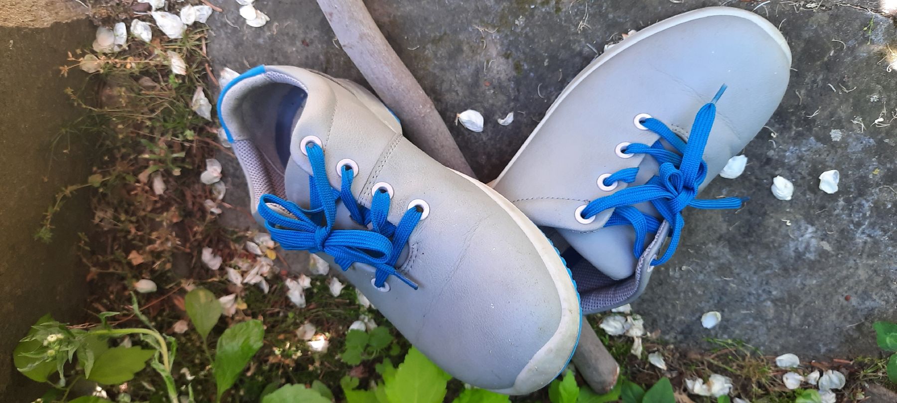 Scarpe da uomo: ABEBA bequeme Arbeitsschuhe grau / blau Größe 39 – Usato da Turbenthal venduto da tirare 1