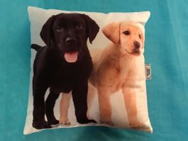 Kissen mit Labrador Welpen, 25 x 25cm