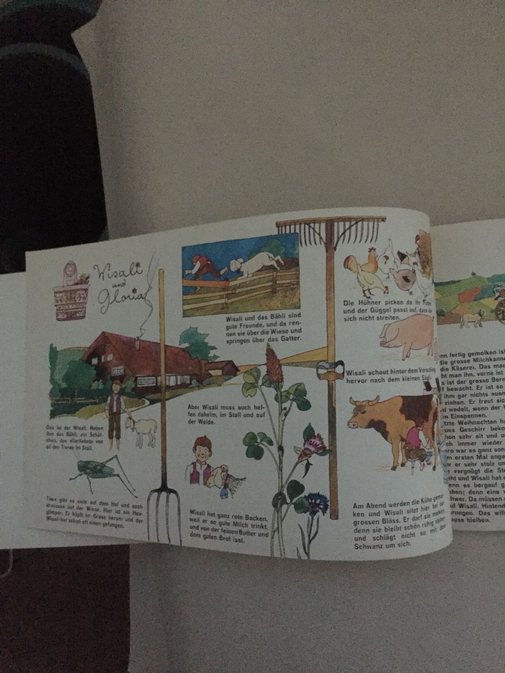 Libri: Wisali und Gloria – Usato da ZUERICH venduto da Carolus1 2