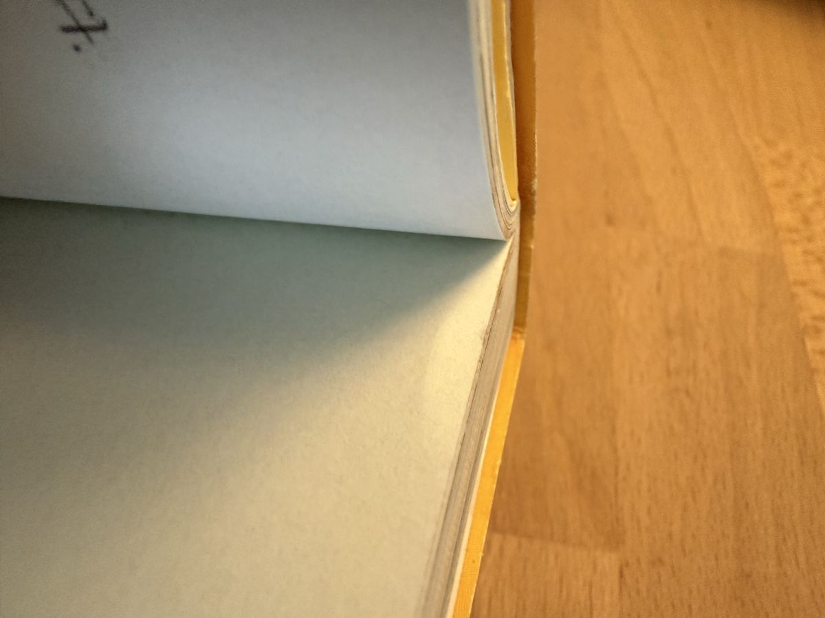 Libri: Livre Pokémon pikachu – Usato da Kloten venduto da Mumiiin 4