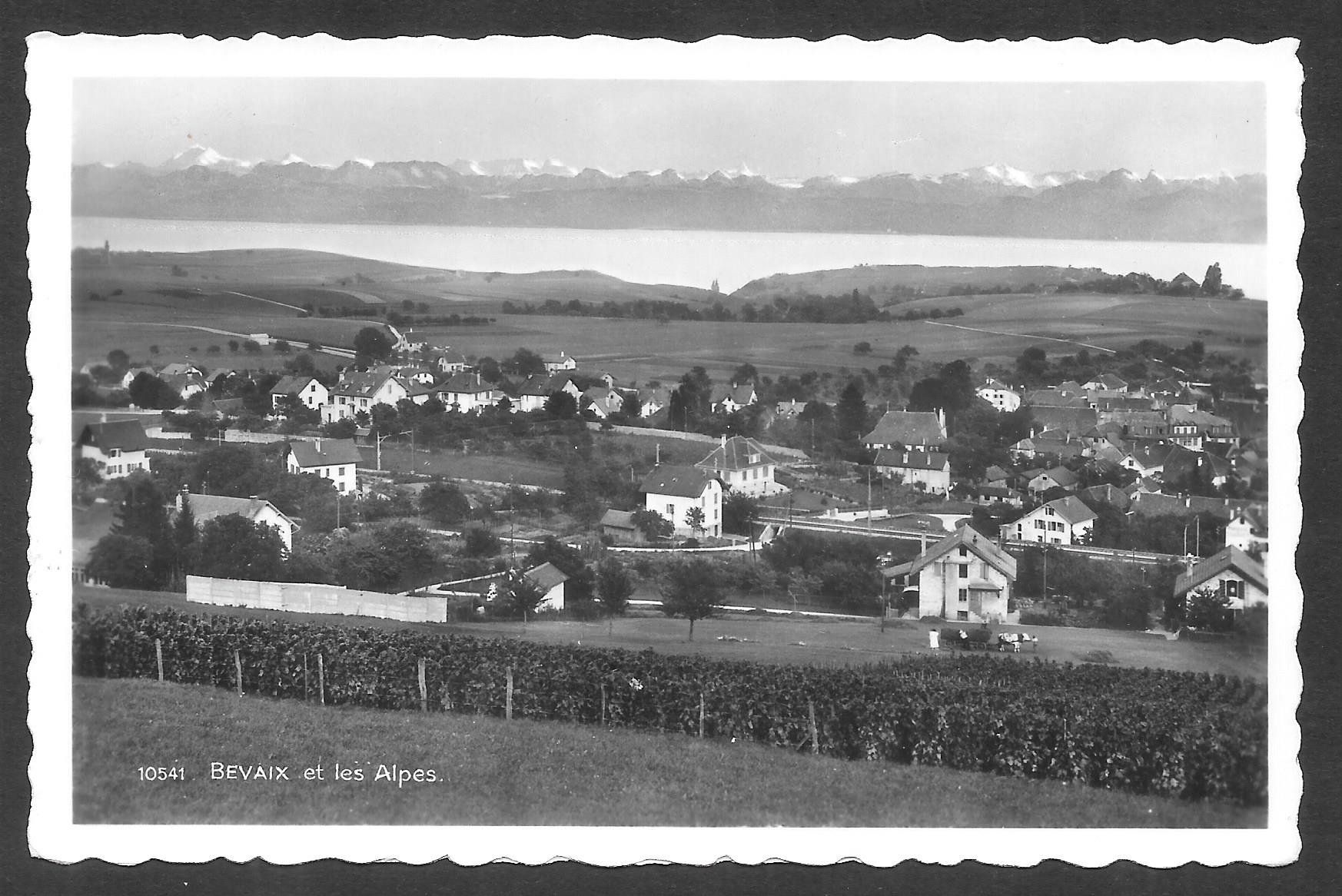 Cartoline postali: Bevaix Dorfansicht mit den Alpen – Usato da Olten venduto da clotaldi