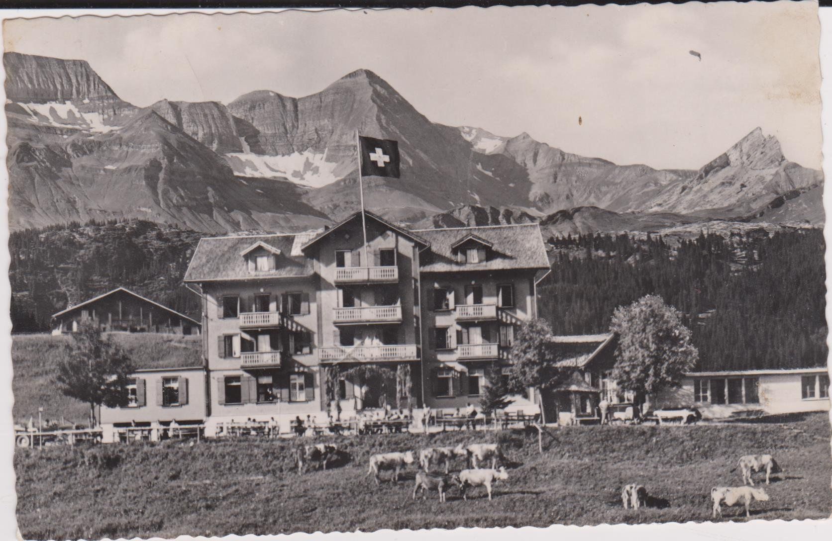 Cartes postales: Breitlauenen, 1917 – D'occasion à Spiez par Niesen20