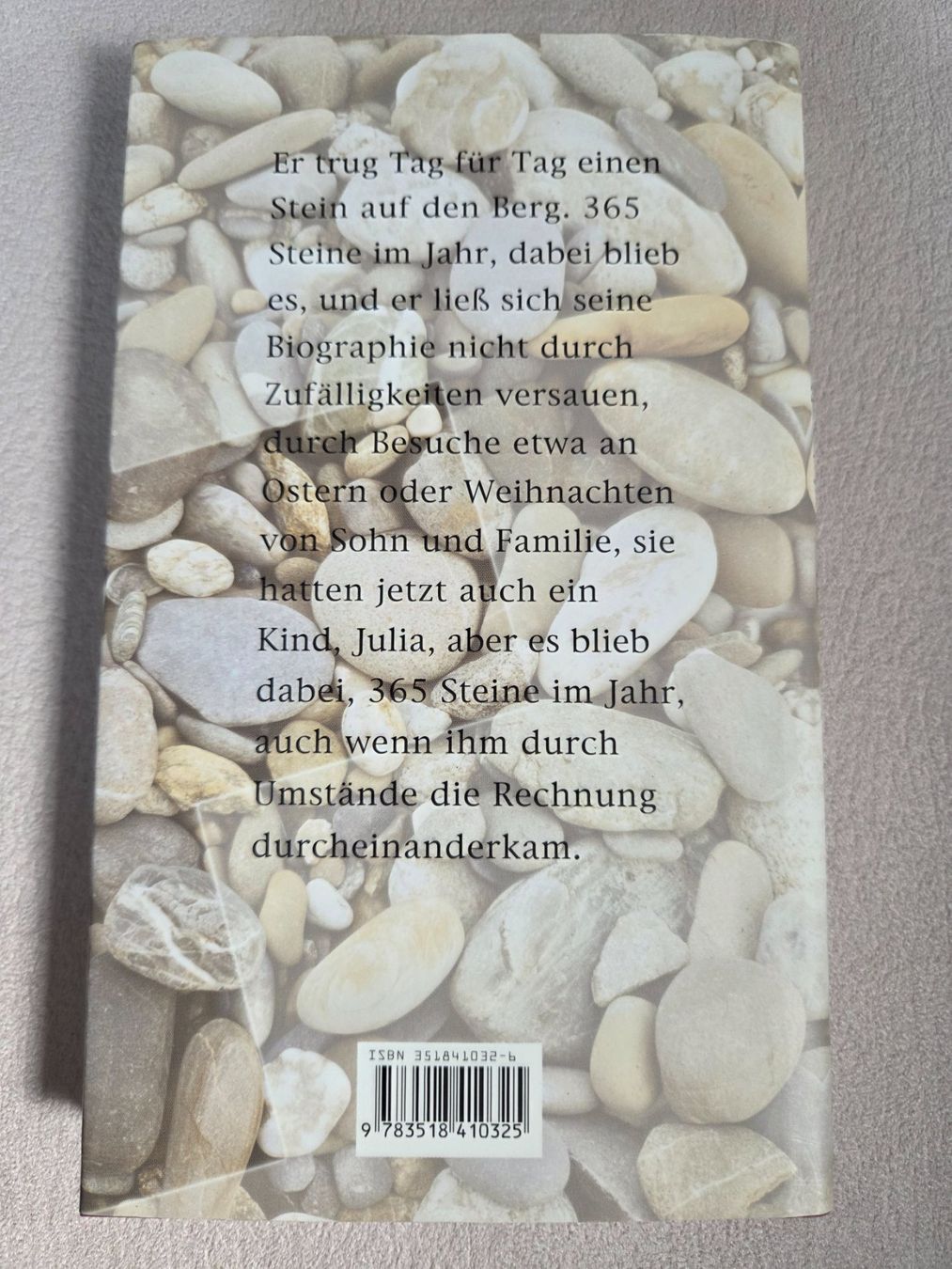 Libri: Peter Bichsel: Cherubin Hammer und Cherubin Hammer – Usato da Bergdietikon venduto da Tanne_10 1