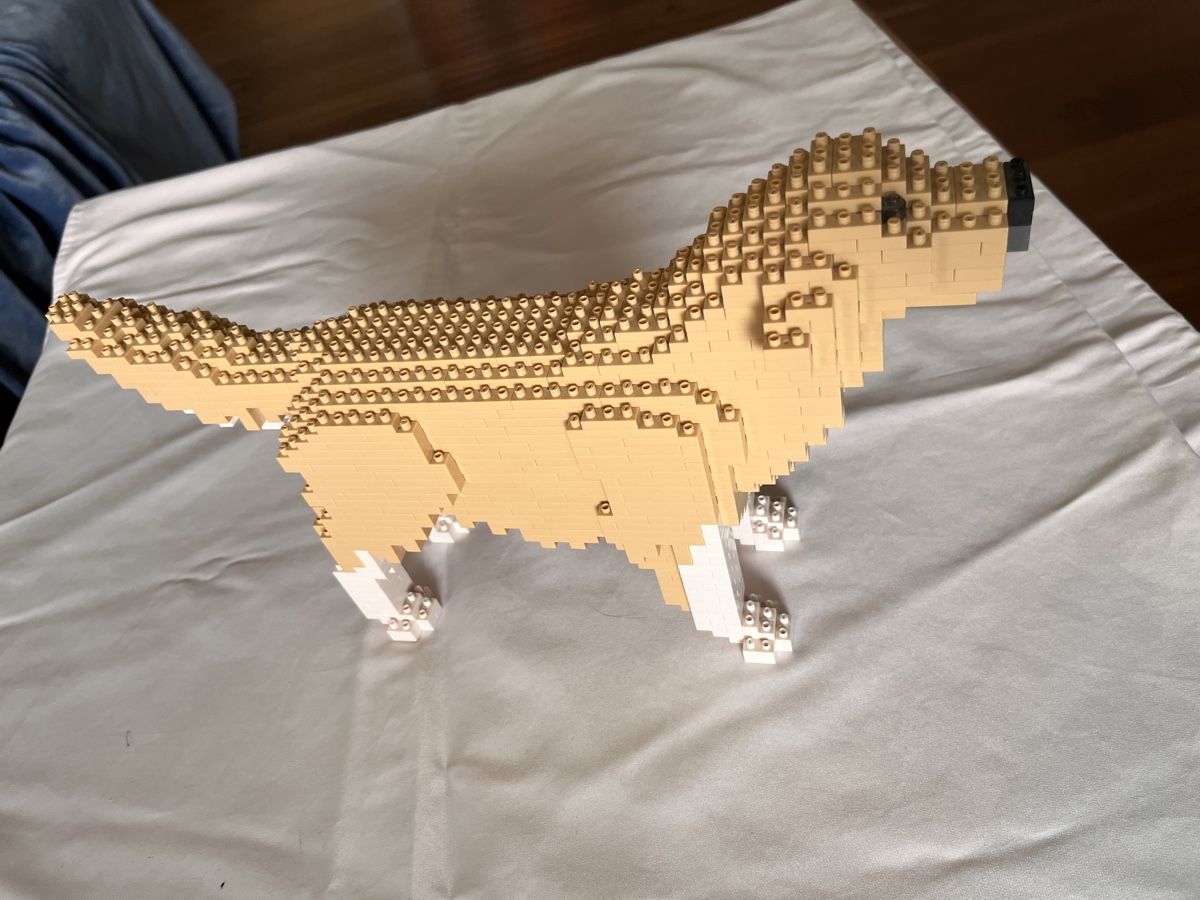 Kit di costruzioni: Golden Retriever Brickmo Bausatz – Usato da Richterswil venduto da tilodecooli