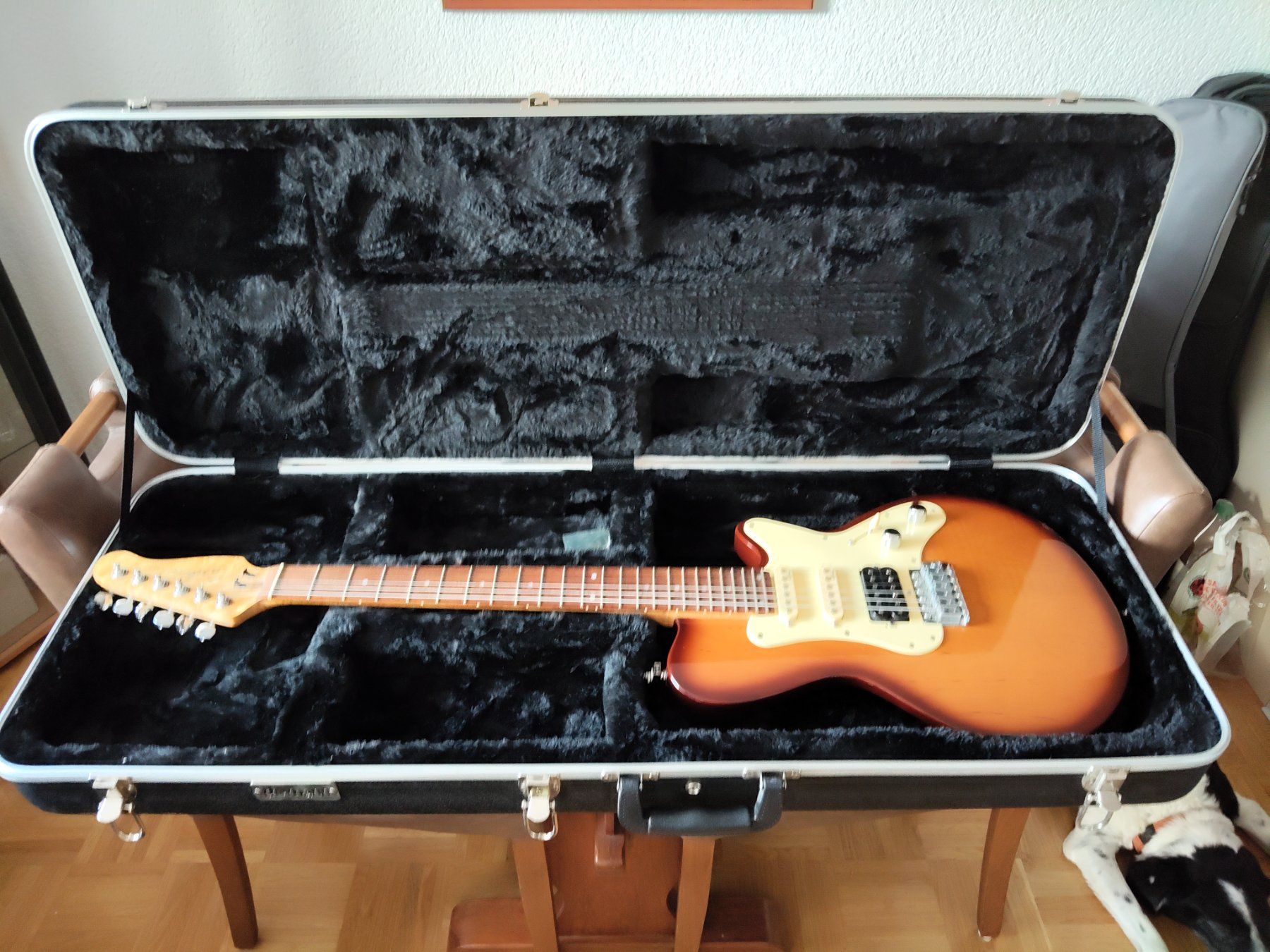 Godin Musikinstrumente: Godin SD – Gebraucht aus Brügg BE von Rajka5 2