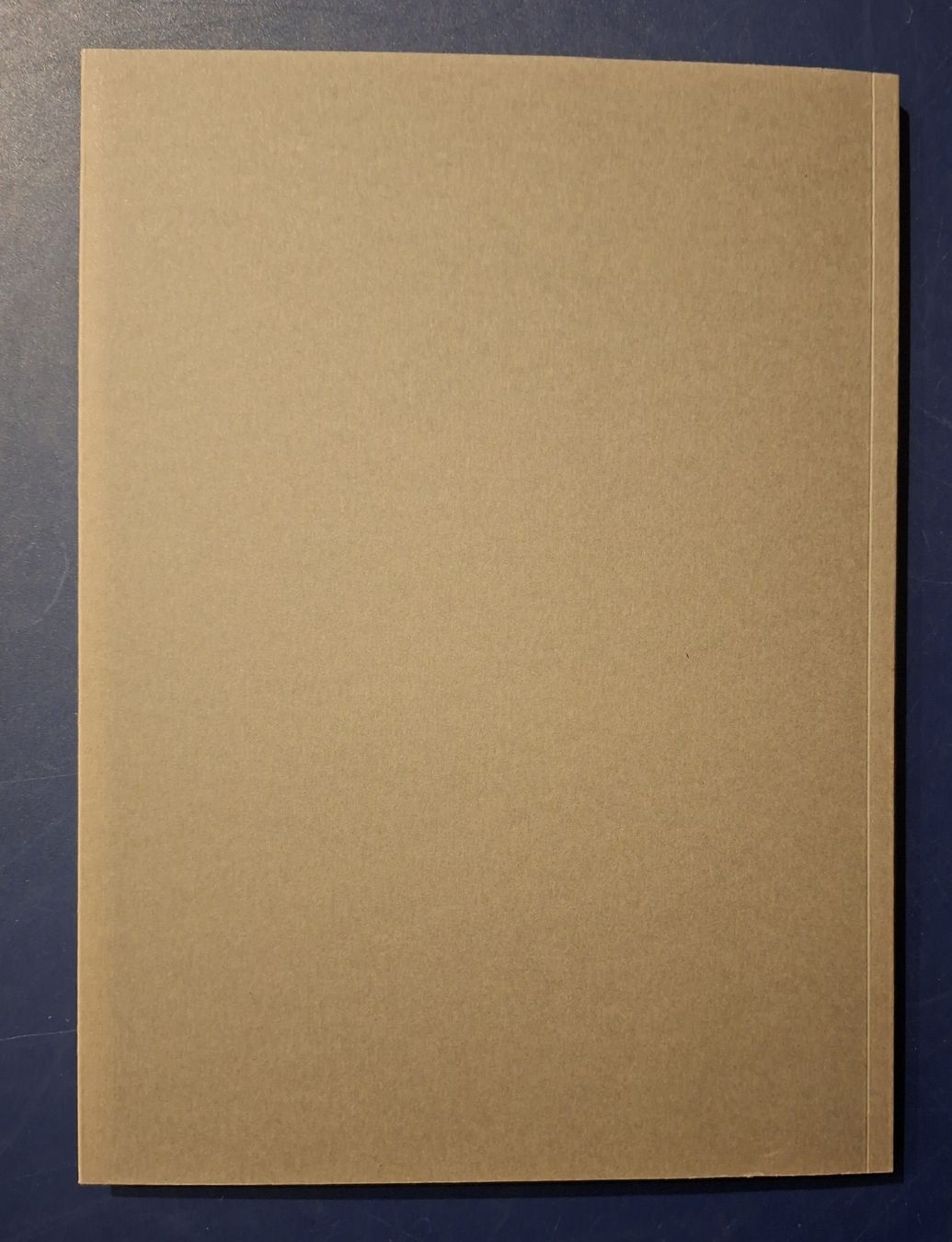Libri: Danh Vo Gomomnimada Buch neu Zustand – Nuovo (secondo la descrizione) da Niederglatt ZH venduto da Siegfried67 1