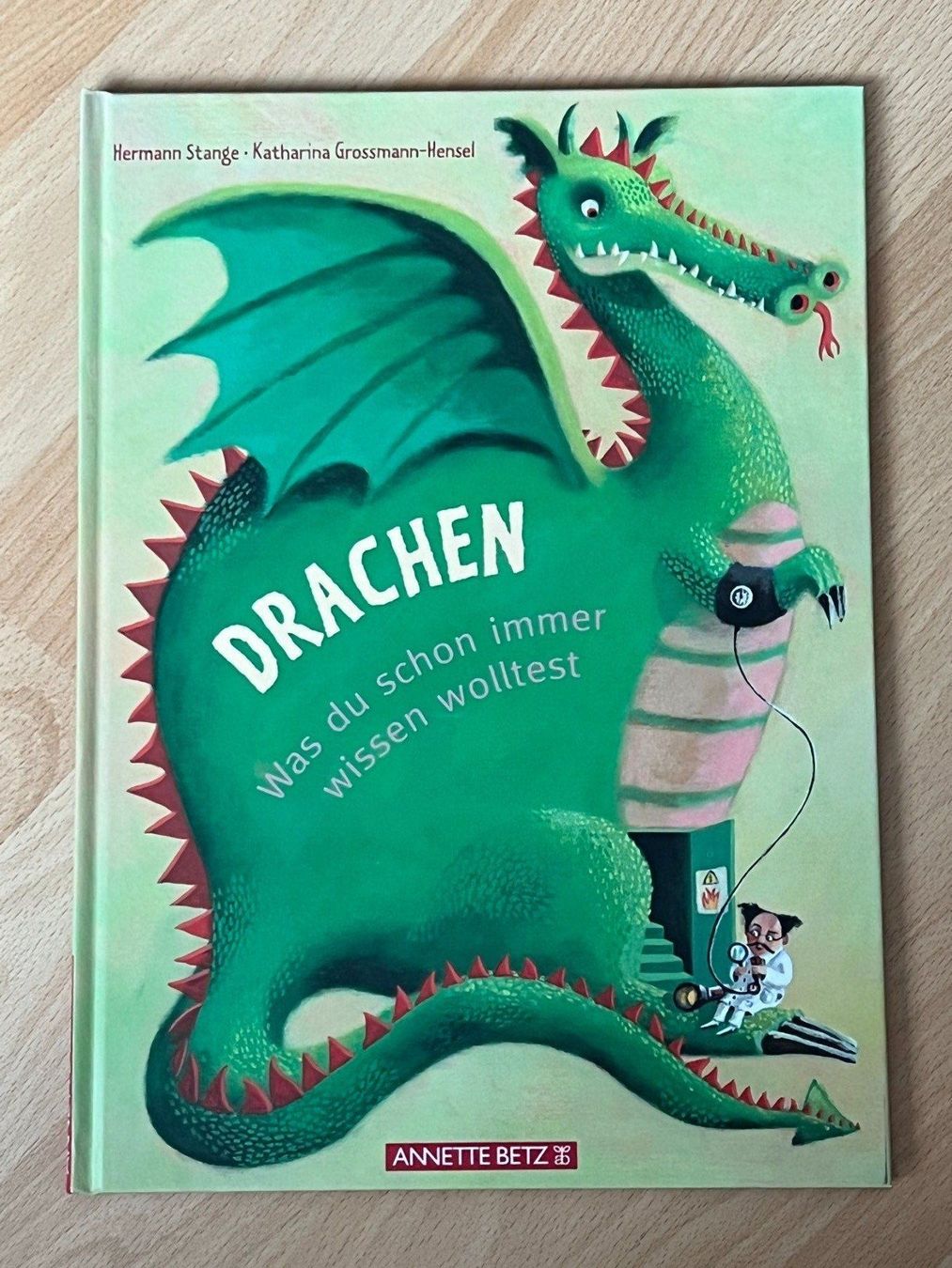 Bücher: Drachen – Gebraucht aus Balzers von Alannah