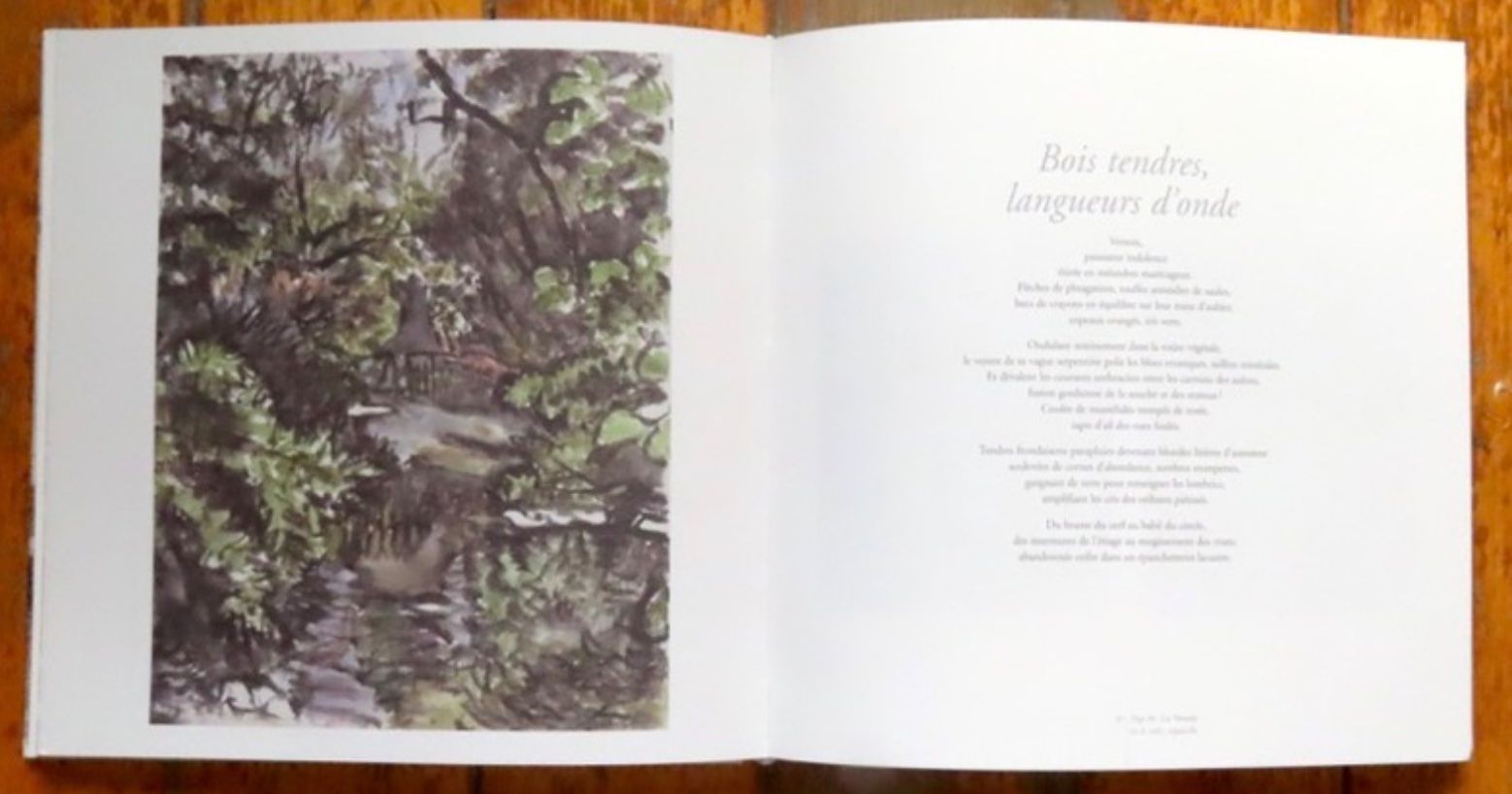 Bücher: Robert Hainard. Cent ans de nature à Genève. – Gebraucht aus Le Locle von LibrairieLaBergerie 2