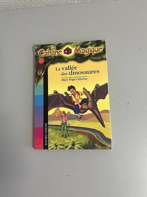 Livres: La Cabane Magique  – D'occasion à Lausanne par Catherine1003