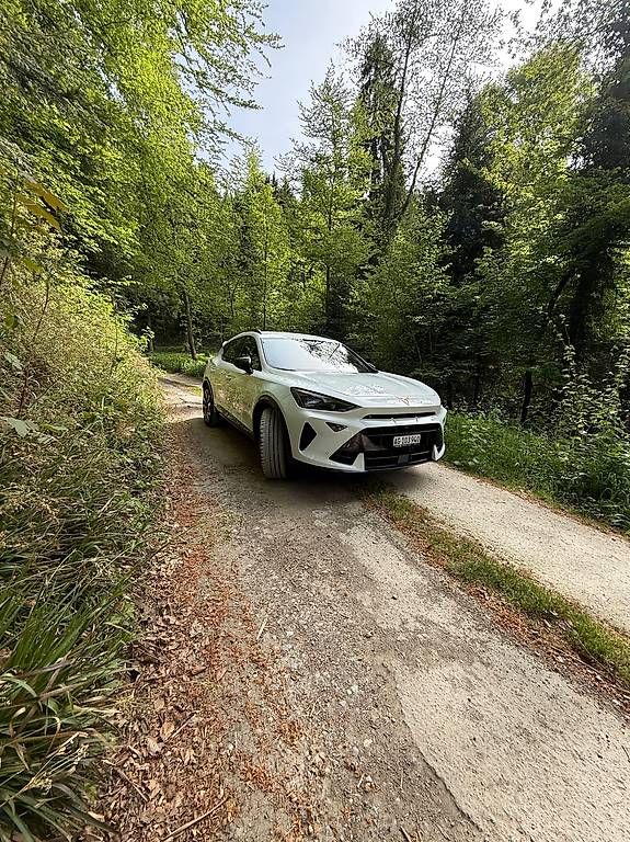 Automobili: Cupra Formentor 2.0TSI VZ – Usato da Beinwil am See venduto da alo_58nm 1