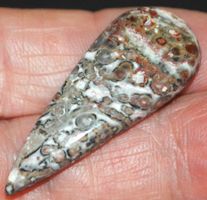 Cabochon L-8287 – Leopardenhaut Jaspis 39X15mm 20.40 Karat