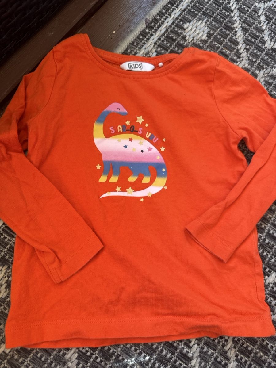 Maglioni & Felpe: Langarmshirt orange Dinosaurier Grösse 104 – Nuovo (secondo la descrizione) da Zürich venduto da Belisimo