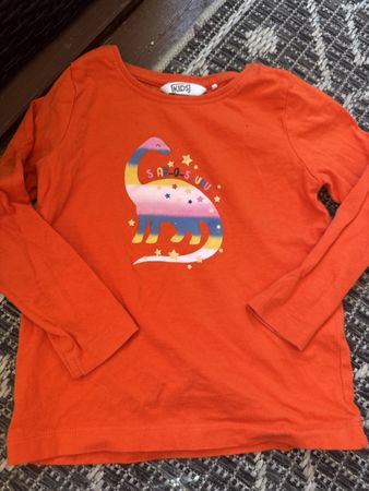 Langarmshirt orange Dinosaurier Grösse 104