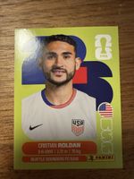 Panini Fifa USA 11