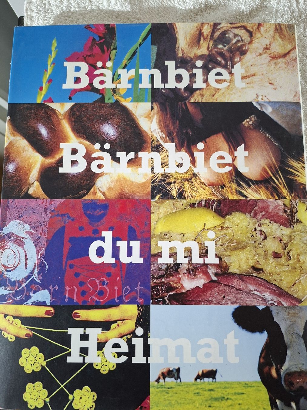 Libri: Bärn Biet, von Peter Aeschbacher – Usato da Grindelwald venduto da carro5 9