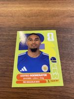 Panini CUW10