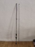 Canne casting La Moustique 2-10g
