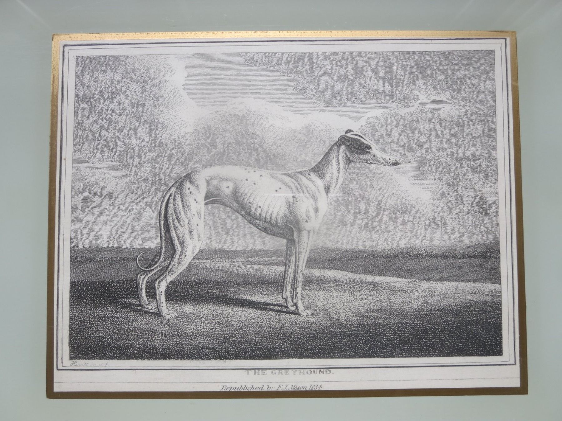 Servierplatten: schönes Serviertableau,Greyhound hinter Glas – Gebraucht aus Rüschegg-Heubach von bmw325x 2