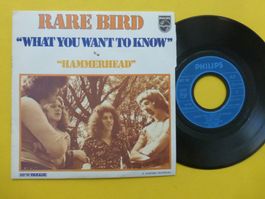 Rare Bird – What You Want To Know