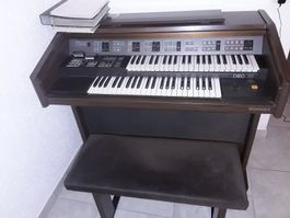 Orgel 