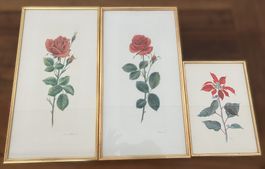 3er Set Vintage Botanik-Brucke / Rosen & Weihnachtsstern