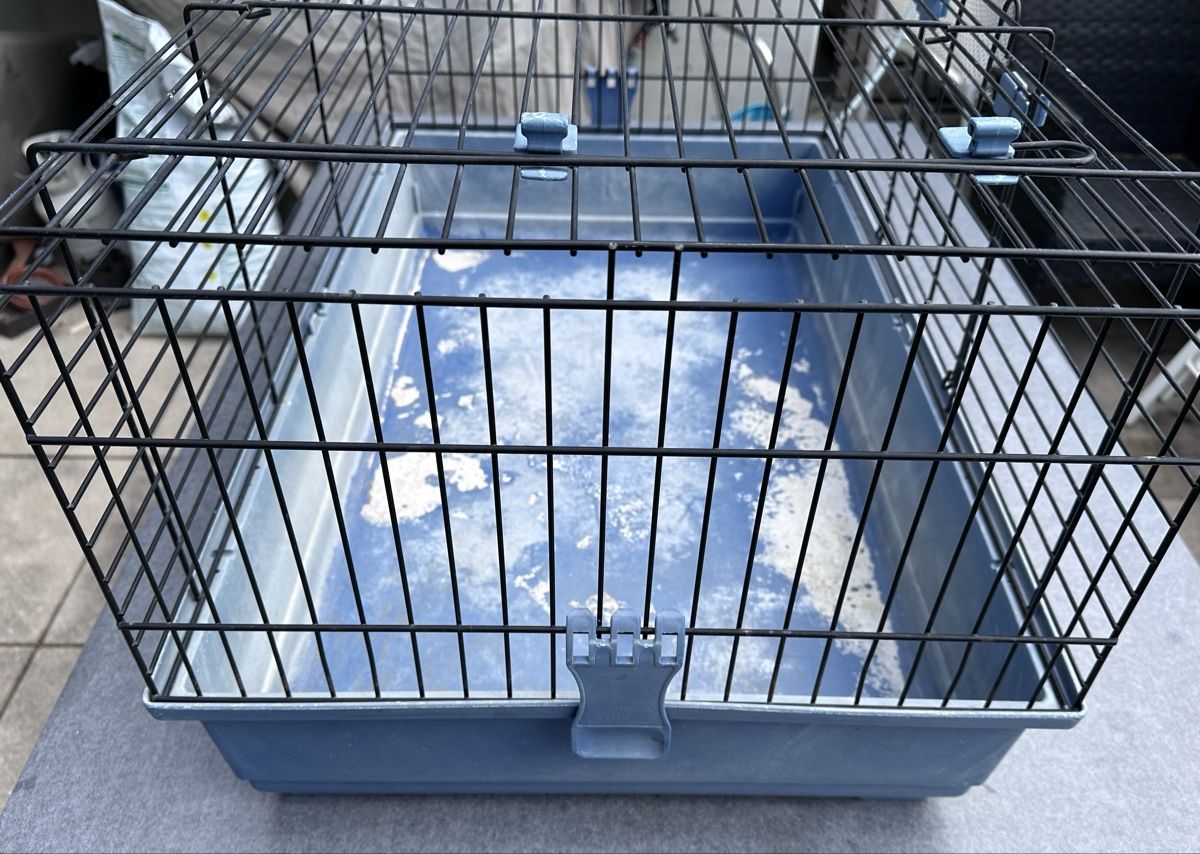Gabbie, trasporto & Sicurezza: Cage transport animaux – Usato da Martigny venduto da jereq 2
