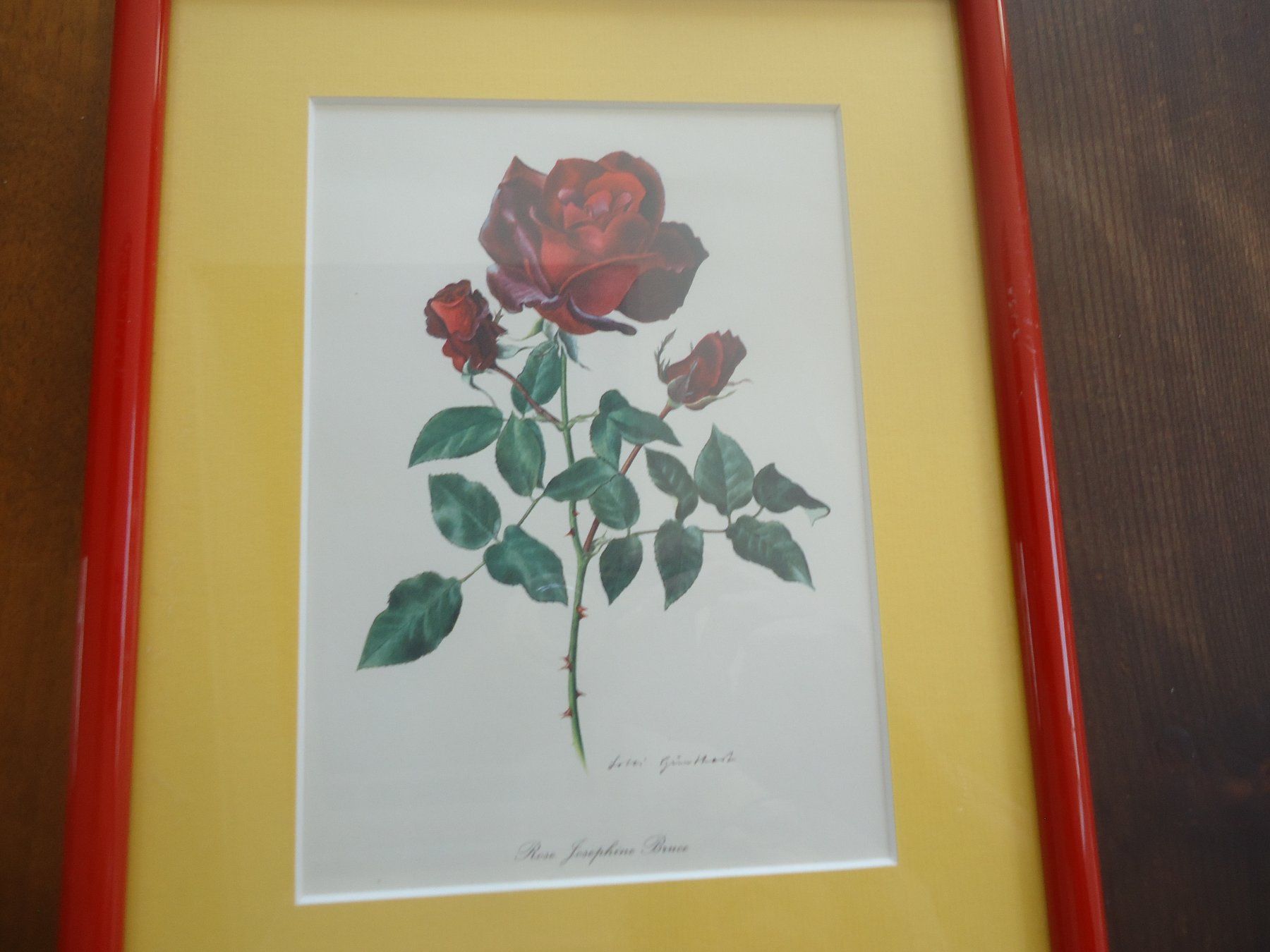 Dipinti: Dessins de roses rouges encadrés - 2 pièces – Usato da Vessy venduto da mafabe 1